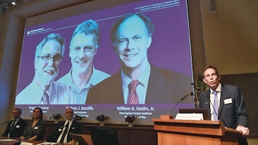 Premio Nobel a investigación sobre adaptación a niveles de oxígeno