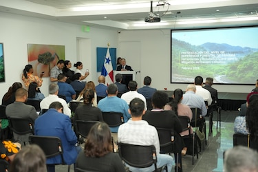 Azuero, Coclé, Bocas del Toro y Darién, zonas críticas por la deforestación