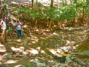 Falta de pasto y agua en Azuero