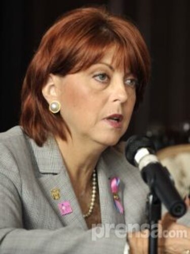 En 15 días debe estar listo informe sobre uso de símbolos patrios