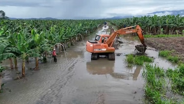 Bloqueo en la desembocadura del río San San mantiene inundadas fincas y comunidades de Changuinola, según productor
