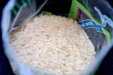 ¿Se conseguirá suficiente arroz con la eliminación del control? Los productores negocian con la industria 