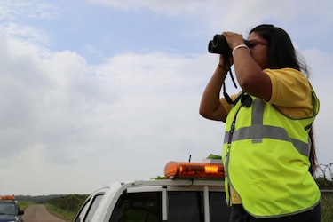 Se ajustan medidas de seguridad en Tocumen ante la aparición de más gallinazos