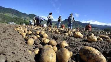 Piden elevar vigilancia en el agro