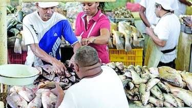 Libra de pescado podría subir hasta $1