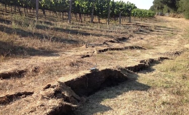 Cambios magnéticos precederían terremotos