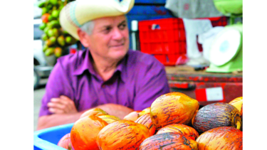 Costa Rica buscará ampliar mercados