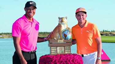 Fowler domina