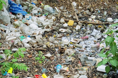 Ambientalistas piden vetar ley del foam biodegradable por ‘falsa solución’