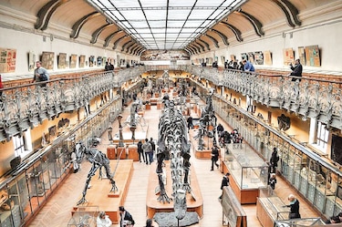 Especies extintas vuelven a la vida en museo de París