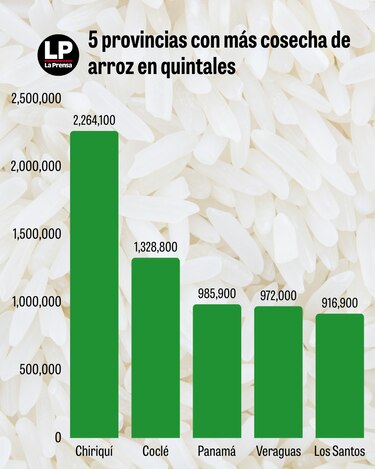 El arroz vuelve a la agenda nacional: importación, clima y producción bajo análisis