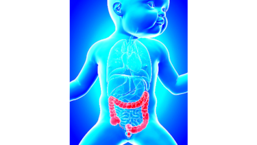 Alternativa contra la desnutrición