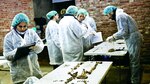 Hallan los restos de Miguel de Cervantes