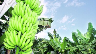 $5 mil 209 millones de inversión