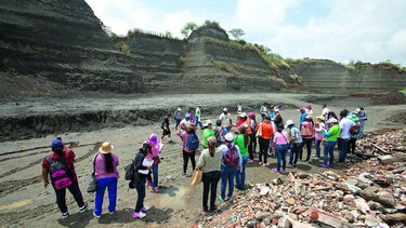 Naturaleza, ciencia y educación