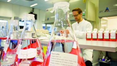 Avance contra el virus del ébola