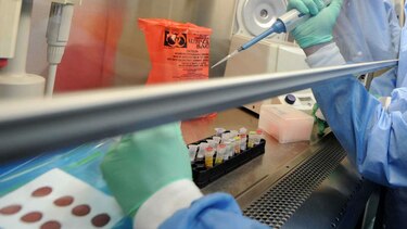 Inglaterra aprueba polémica técnica de edición genética