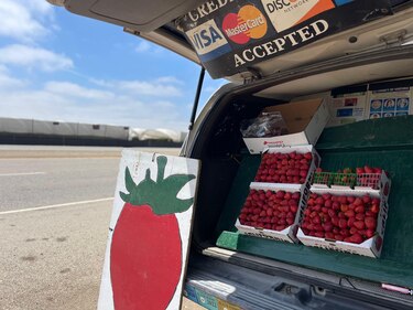 ‘¿Es usted de la Migra?’: el temor de los migrantes que se esconden de las redadas en Oxnard, la ‘capital mundial de la fresa’ en California