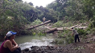 Erosión afecta cauce de la quebrada La Corocita, en Los Santos
