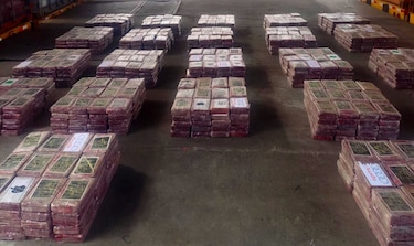 Decomisan en un puerto de Colón más de 1,300 paquetes con droga en un contenedor