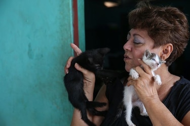La madre de las mascotas olvidadas