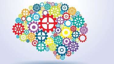 Científicos trabajan en la primera biblioteca de cerebros humanos