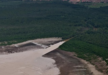 ‘El panameño entiende la importancia del ambiente’, según Audubon