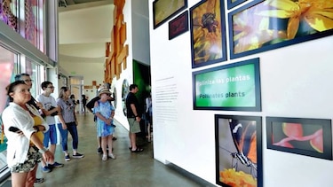 Por más museos ‘hiperconectados’