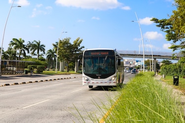Las redes reaccionan: ¿Qué opinan del servicio de MiBus?