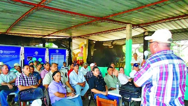 Ganaderos buscan incrementar la producción láctea
