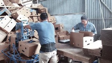 Obreros bananeros rechazan tareas forzadas