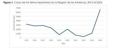 Repunte de tosferina en Panamá: 14 casos en niños y una muerte este año