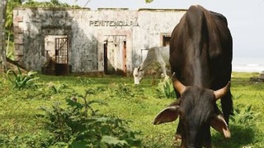 Una ´burda e inaudita´ contratación para Coiba