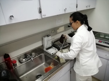 Buscan alternativas para motivar la donación de sangre  