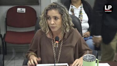 ¿Por qué el seguro al turista aún no está disponible y qué hace falta para activarlo?