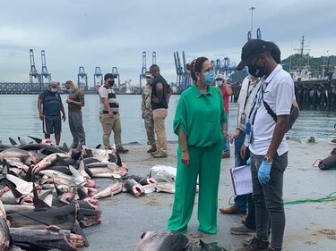 Detienen dos embarcaciones por pesca ilegal y decomisan 10 mil libras de pescado