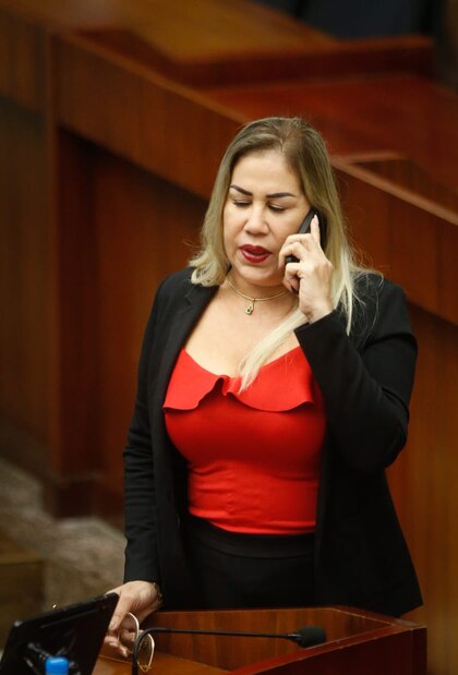 Mano a mano por la Comisión de Credenciales: Alexandra Brenes vs Shirley Castañeda