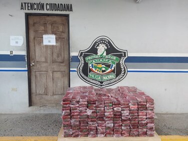 Aprehenden a más de 700 personas en las últimas horas