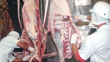 Primer envío de carne a China será en junio