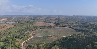 Entre piñas, política y disputa de tierras: la finca secreta vinculada al diputado Roberto Ayala