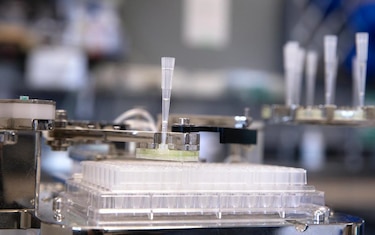 La inteligencia artificial puede ejecutar un millón de experimentos microbianos por año