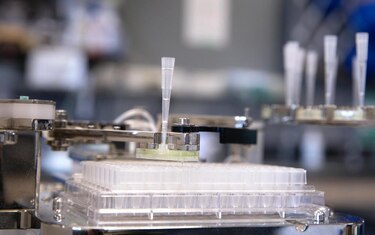 La inteligencia artificial puede ejecutar un millón de experimentos microbianos por año