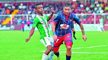 Un león invicto