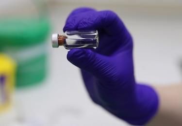 Pfizer entregará primeras dosis de su vacuna a Canadá en diciembre