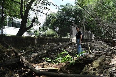 San Francisco contará con acceso peatonal ecológico al Coco Parque