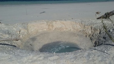 Revisarán áreas públicas de Isla Iguana