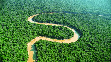 Pedirán protección del Amazonas