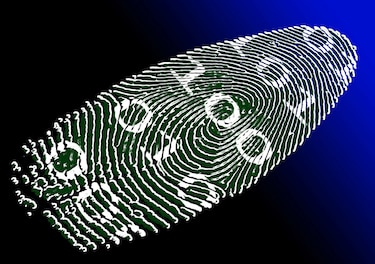 ¿Son los sistemas biométricos seguros?