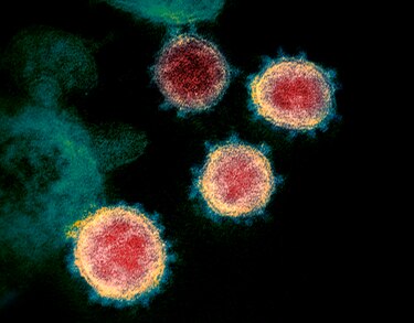 Epidemia del nuevo coronavirus está en un ‘momento decisivo’, dice la OMS