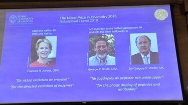 El Nobel de Química premia trabajos sobre proteínas